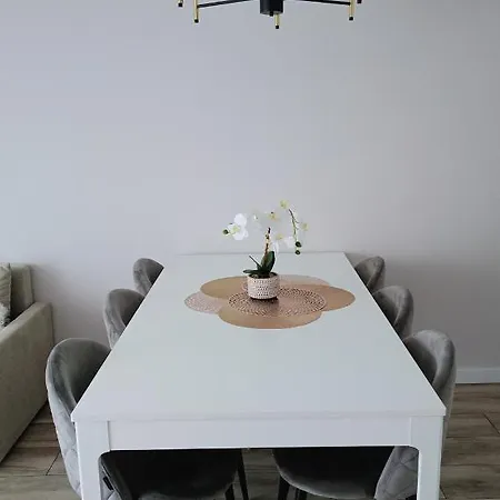 Sosnowy Z Dwoma Sypialniami I Ogrodkiem * Ustroń